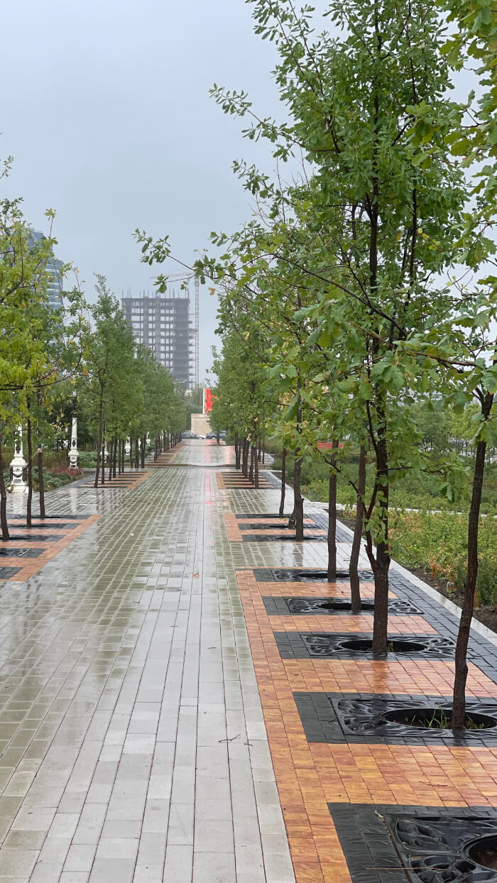 Приствольная решетка для дерева ZKING CRUST 1.2х1.2м Черная в Кишиневе фото