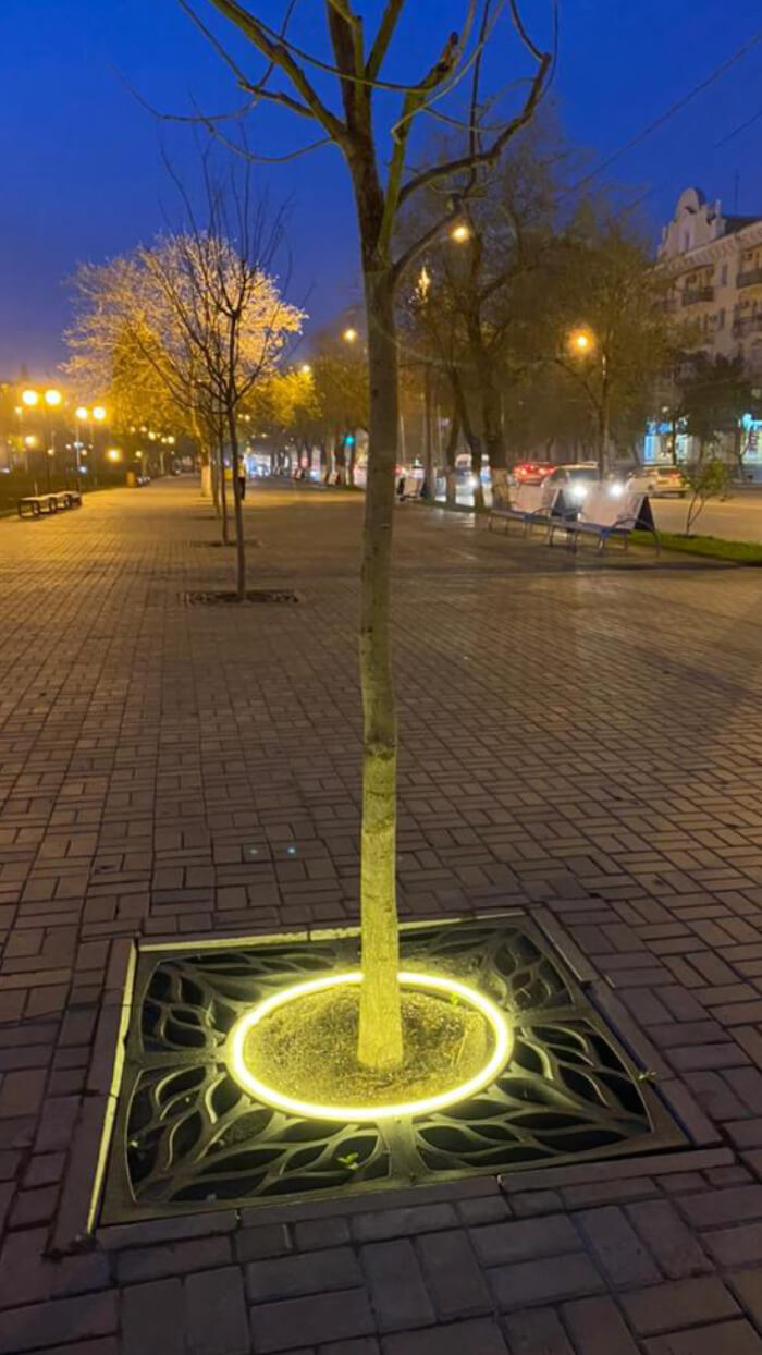 Приствольная решетка для дерева ZKING CRUST 1.2х1.2м Черная в Кишиневе фото